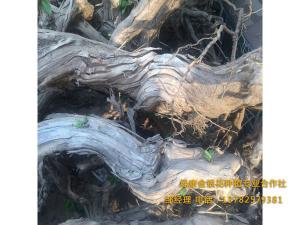 五年以上 五年以上