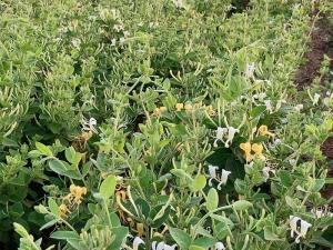 2023年新品 2023年新品