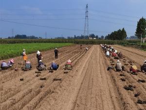 2023年新品 2023年新品