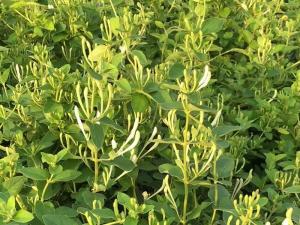 2023年新品 2023年新品