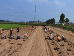 2023年新品 2023年新品