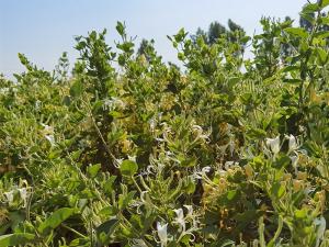 2023年新品 2023年新品