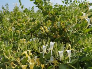 2023年新品 2023年新品