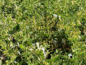 2023年新品 2023年新品