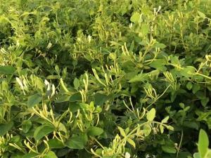 2023年新品 2023年新品